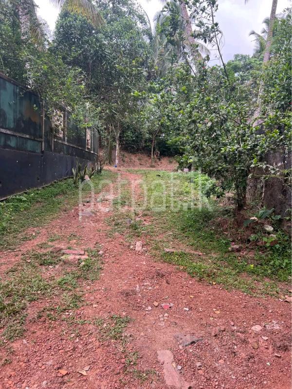 Residential Land for Sale in Wattala