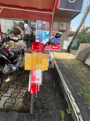 Singer Safari 4S 2025