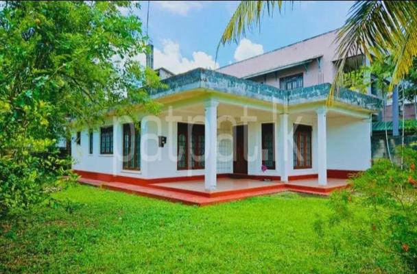 premium-listing-image