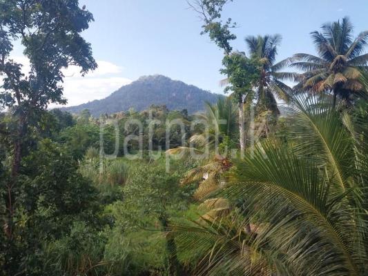 Residential Land for Sale in Gampola