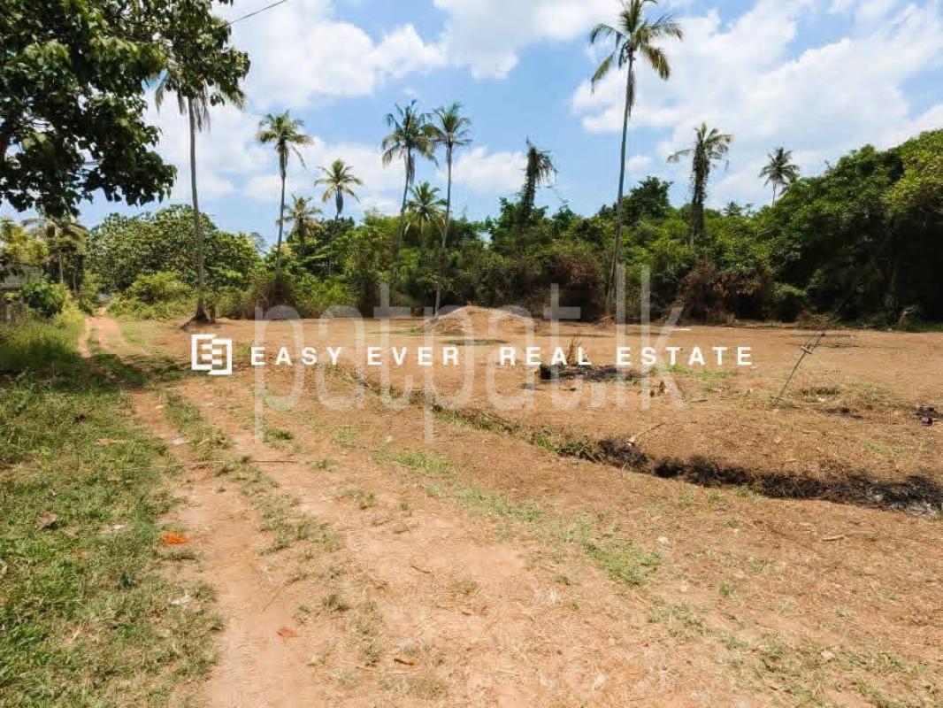 Residential Land for Sale in Yakkala