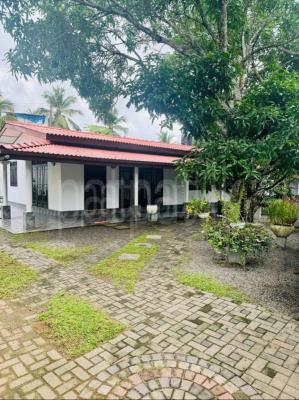 premium-listing-image