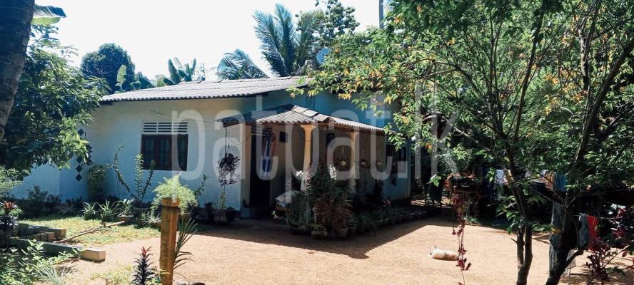 House for Sale in Veyangoda