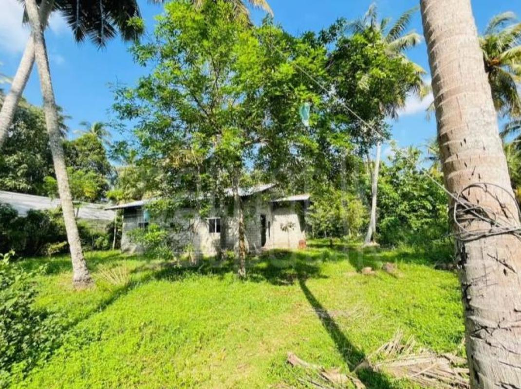 House for Sale in Negombo