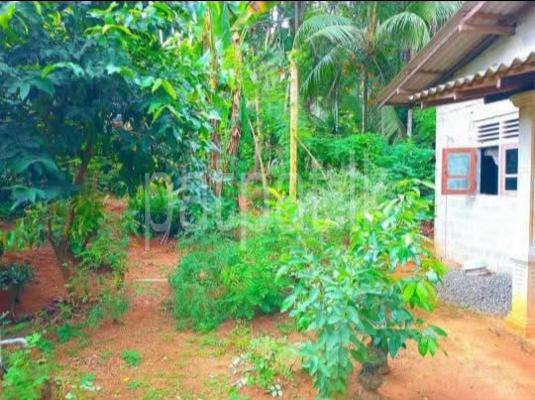 premium-listing-image