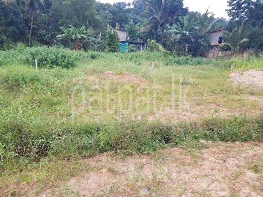 premium-listing-image