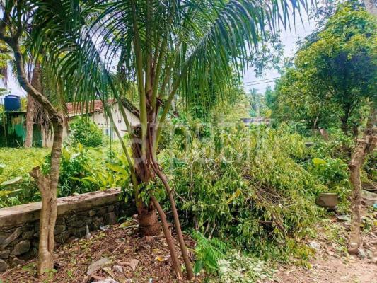 Residential Land for Sale in Divulapitiya