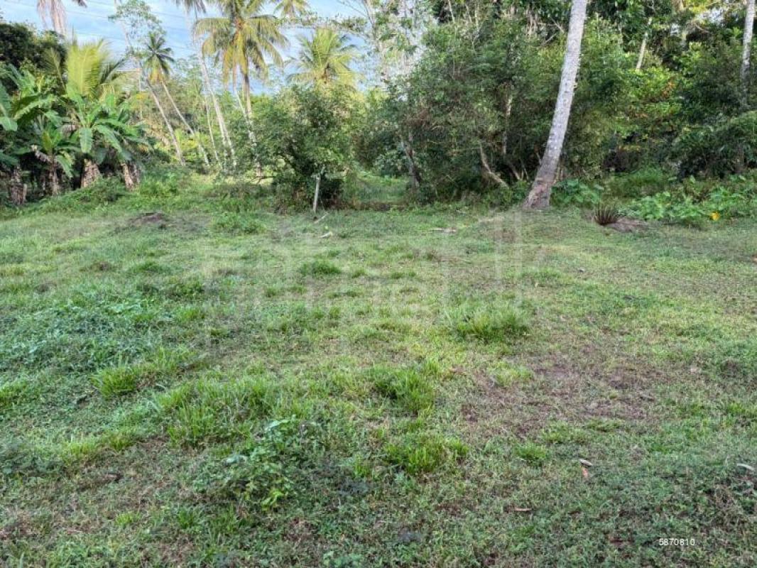 Residential Land for Sale in Wanchawela