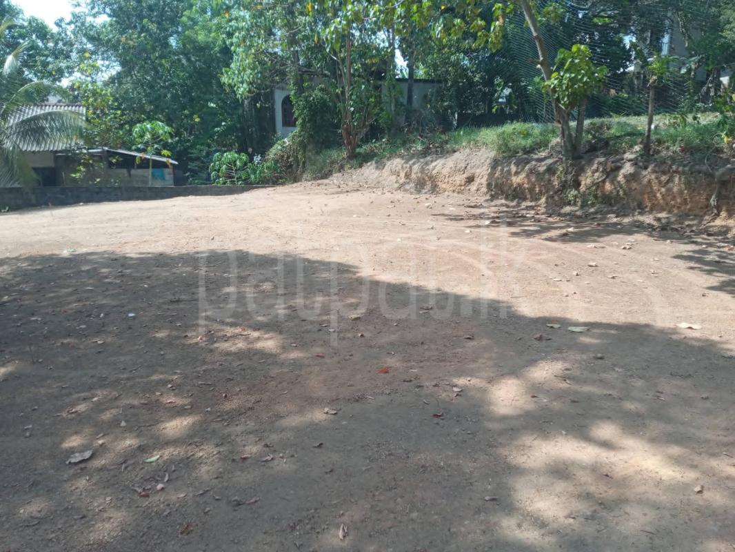 Commercial Land for Sale in Nittambuwa