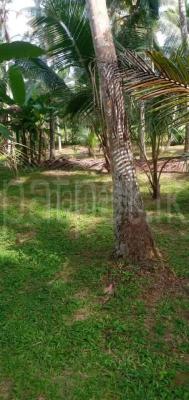 premium-listing-image