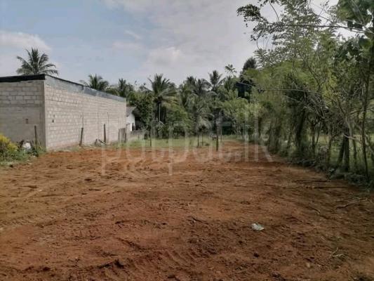 Residential Land for Sale in Panagoda
