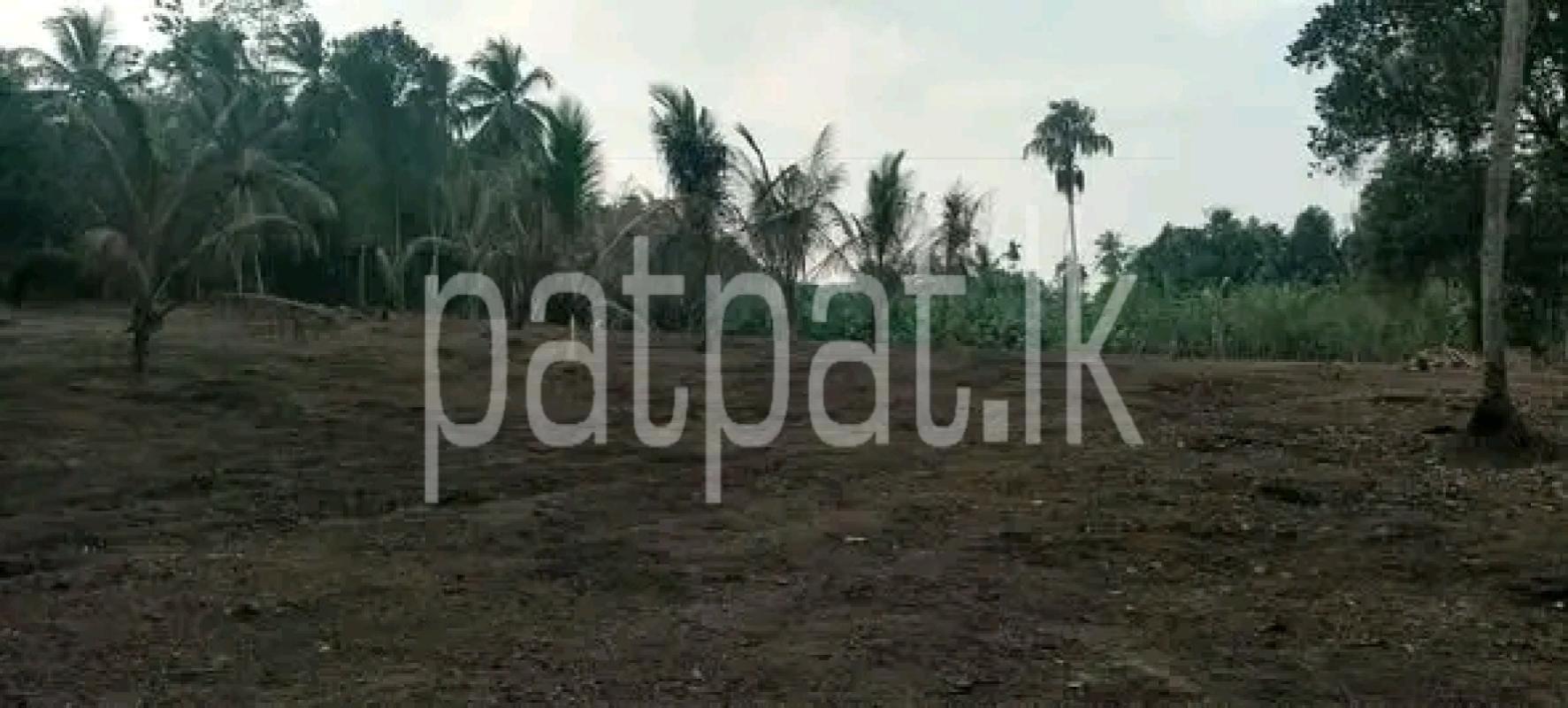 Agricultural Land for Sale in Eppawala