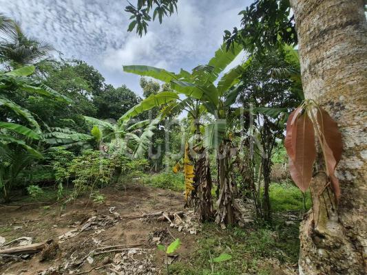 premium-listing-image