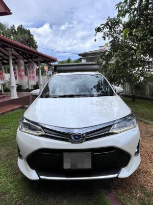 Toyota Axio 2017 - Used Car sale in Sri Lanka - patpat.lk