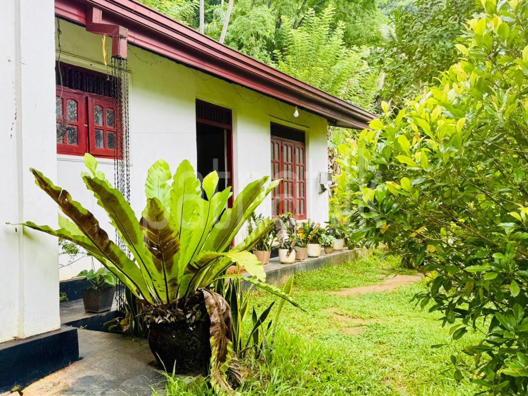 House for Sale in Matale