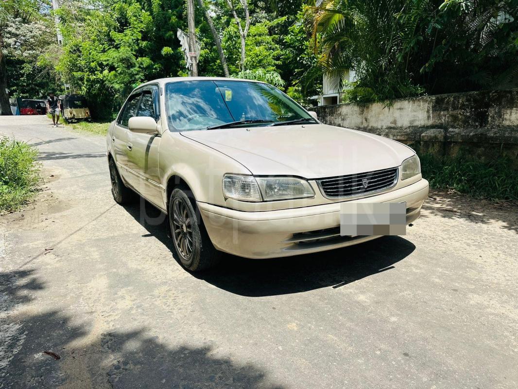 Toyota Corolla 1997 -  Car sale in Sri Lanka - patpat.lk