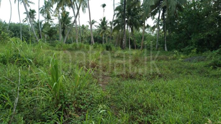 Commercial Land for Sale in Mirissa