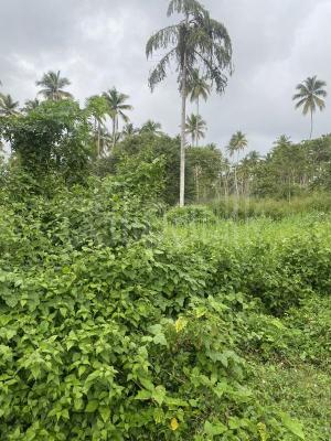 Commercial Land for Sale in Ranna