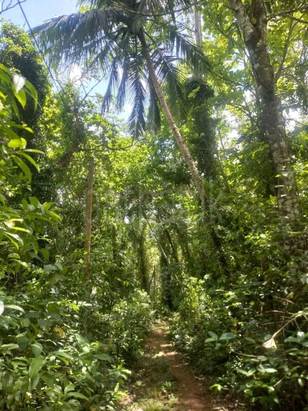 Residential Land for Sale in Beliatta