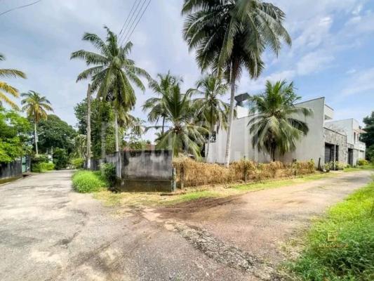 premium-listing-image