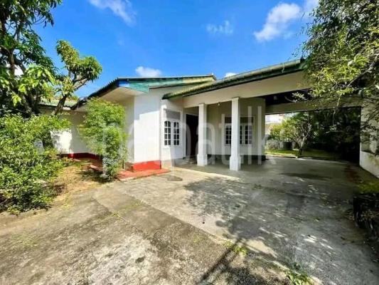 premium-listing-image