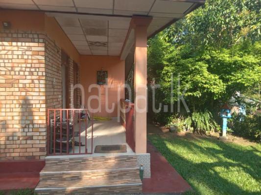 premium-listing-image