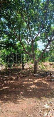 Agricultural Land for Sale in Sella Kataragama