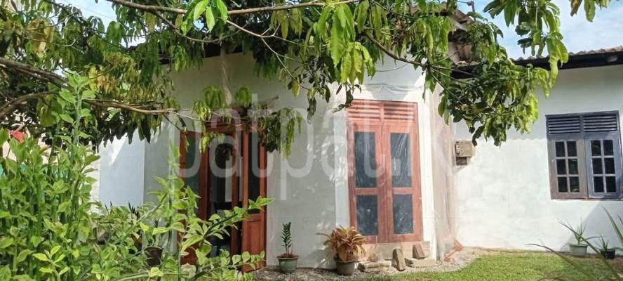 premium-listing-image