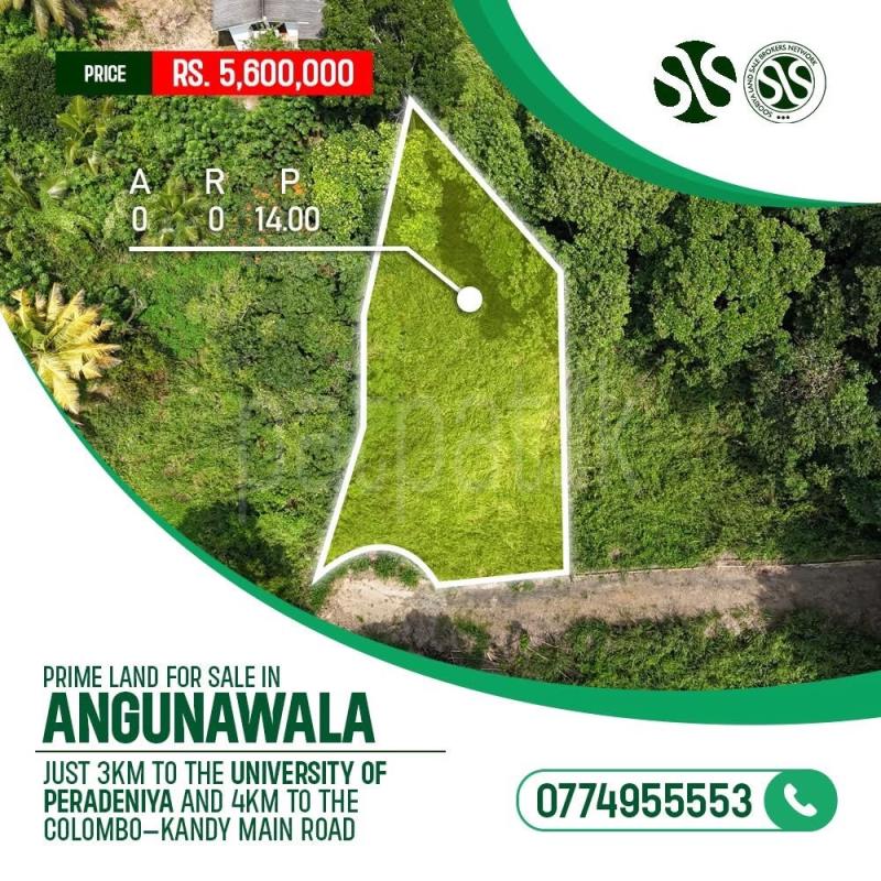 Agricultural Land for Sale in Kandy