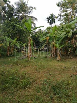 premium-listing-image