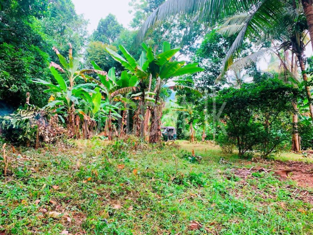 Residential Land for Sale in Ganemulla