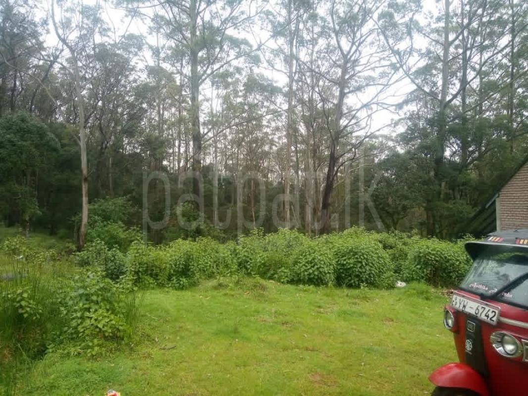 Residential Land for Sale in Nuwara Eliya