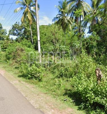 premium-listing-image