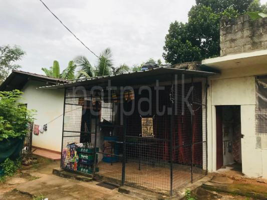 House for Sale in Wathurugama