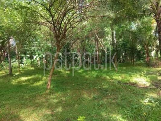 Agricultural Land for Sale in Marandagahamula