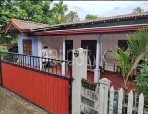 premium-listing-image