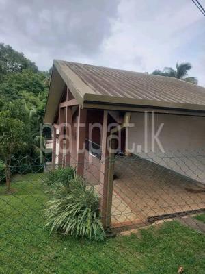 House for Sale in Digana