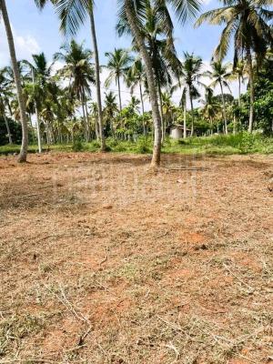Commercial Land for Sale in Gampaha