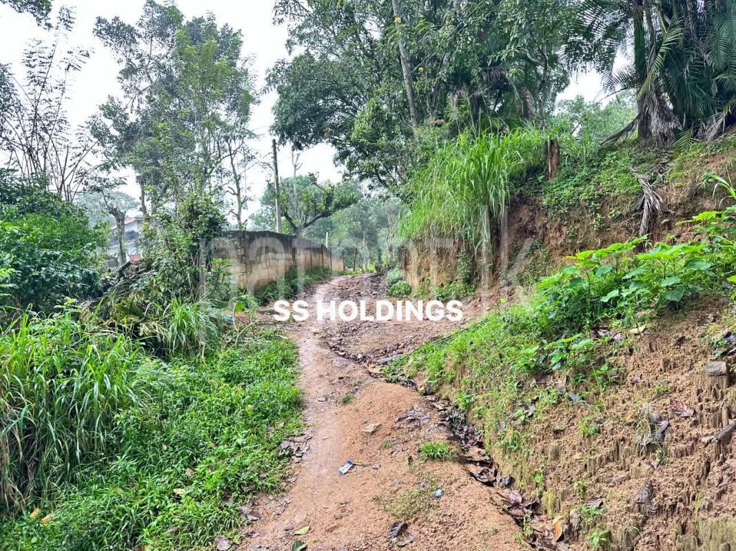 Commercial Land for Sale in Welimada