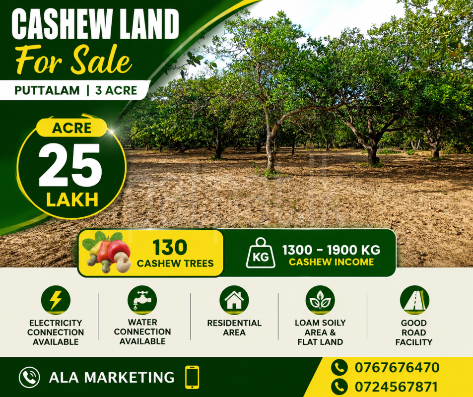 Agricultural Land for Sale in Puttalam