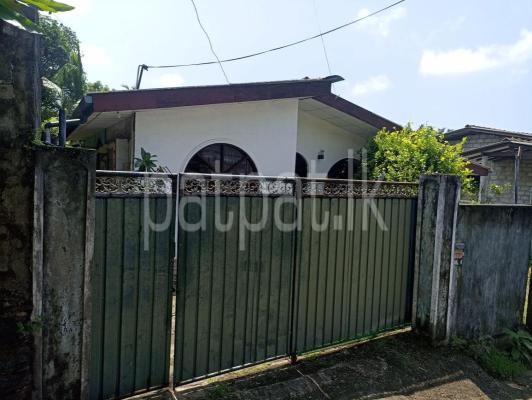 premium-listing-image