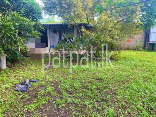 Commercial Land for Sale in Hikkaduwa