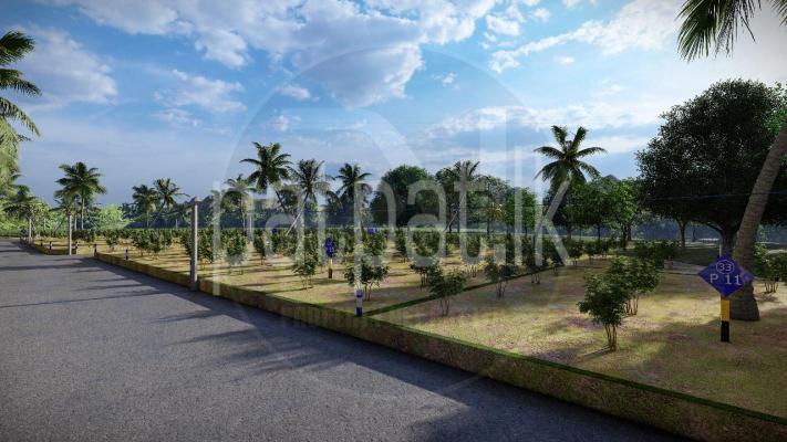 premium-listing-image