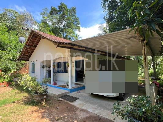 Agricultural Land for Sale in Galapitamada