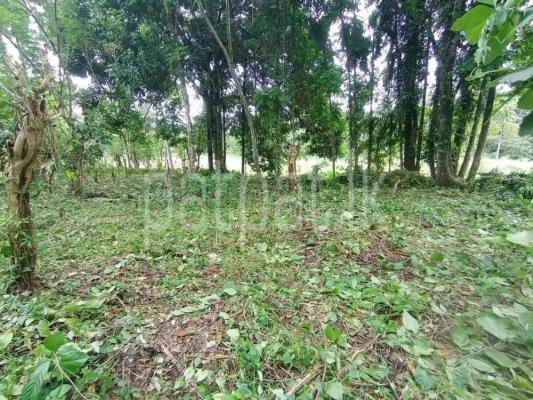 Residential Land for Sale in Ingiriya