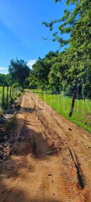 Residential Land for Sale in Kataragama
