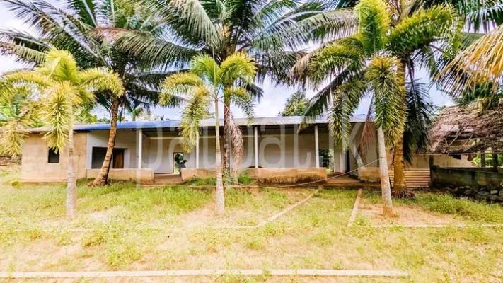 premium-listing-image