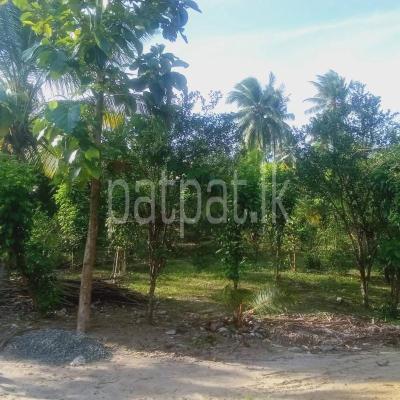Commercial Land for Sale in Weeraketiya