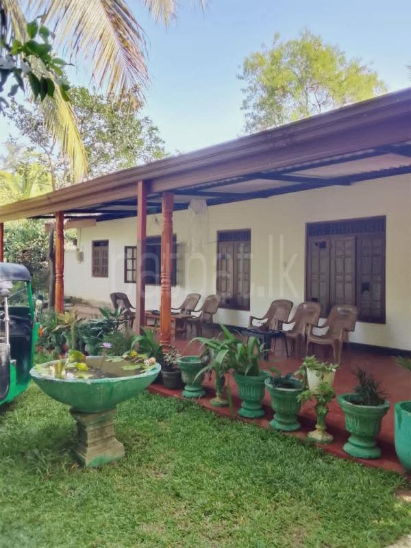 House for Rent in Polonnaruwa
