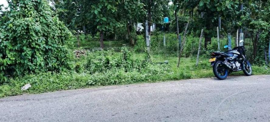 Residential Land for Sale in Kurunegala